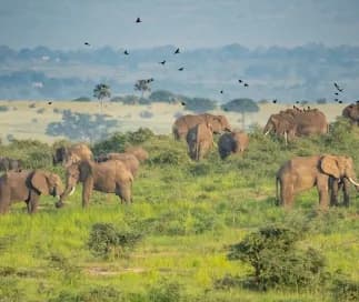 Uganda